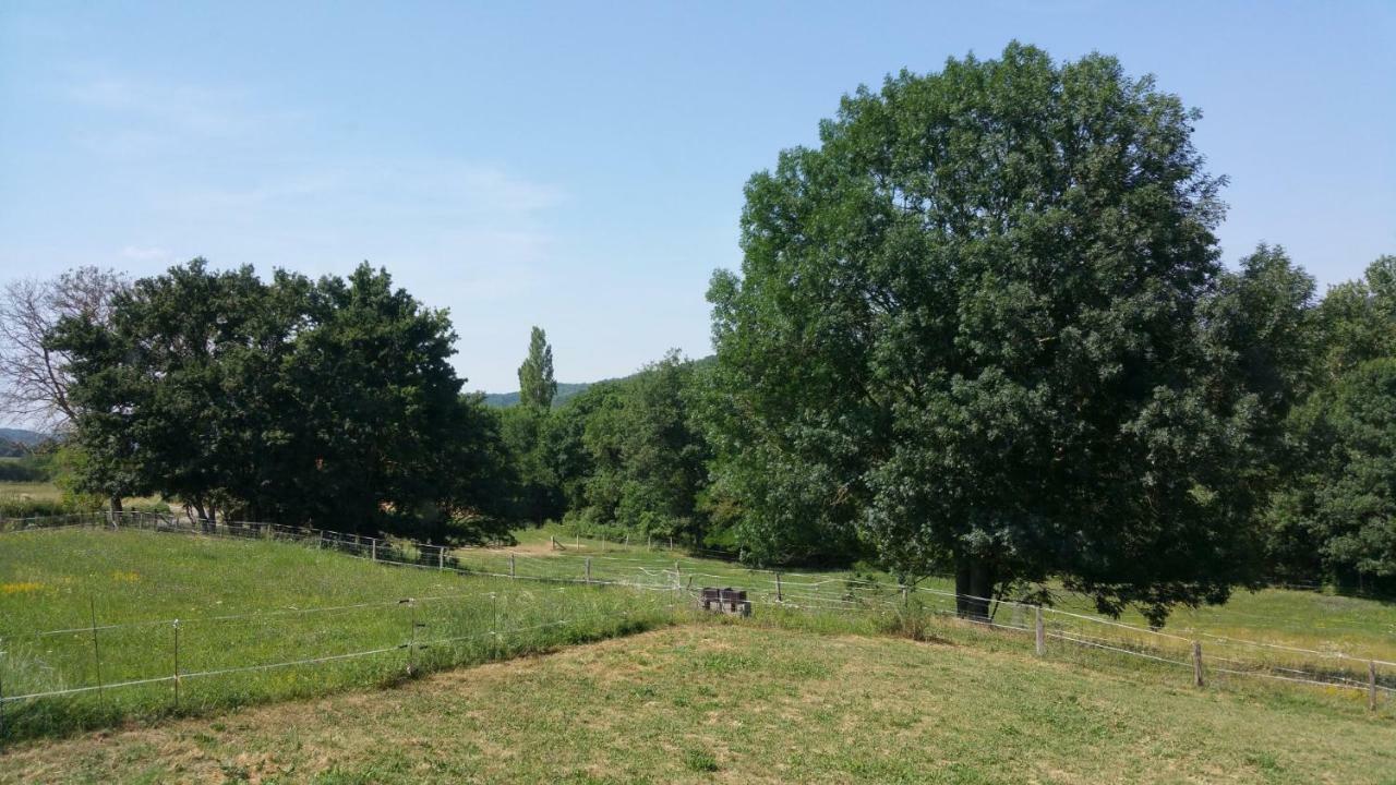 Gite Complex Near Mirepoix In The Pyrenees Limbrassac Esterno foto